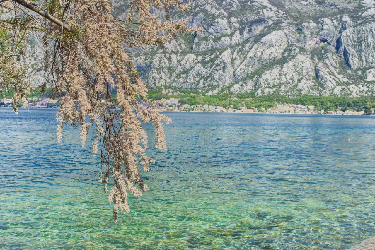 Apartments Ivanovic Kotor Exterior photo